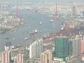 Shanghai (257)